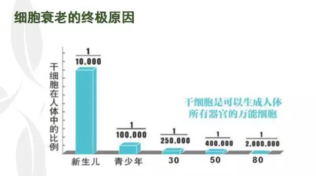金榮細胞種子種植,還你年輕態(tài),重返十八 金榮細胞種子種植,還你年輕態(tài),重返十八