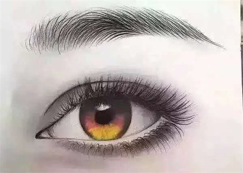 ɽںW(xu)OӋӖW(xu)Уʲôn