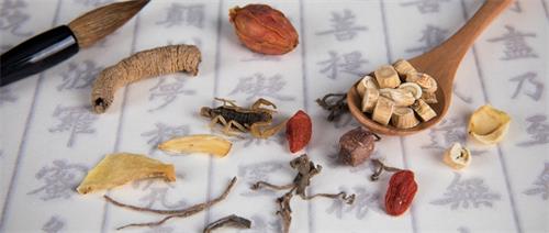 石家莊工商職業(yè)學(xué)院護理學(xué)院怎么樣?值得報考嗎? 石家莊工商職業(yè)學(xué)院護理學(xué)院怎么樣?值得報考嗎?