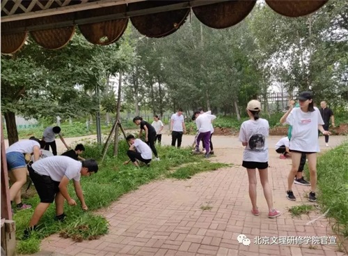 北京文理研修學(xué)院夏令營(yíng)之——芝心園生態(tài)農場(chǎng) 北京文理研修學(xué)院夏令營(yíng)之——芝心園生態(tài)農場(chǎng)