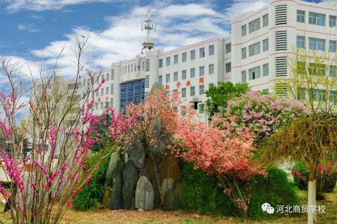 河北商貿學(xué)院校園春色不變,等待如期而至的你 河北商貿學(xué)院校園春色不變,等待如期而至的你
