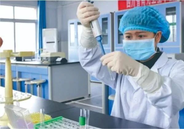 ϳ似W(xu)Ժ2020(jin)