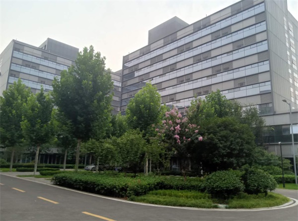 ʡQW(xu)УôW(xu)