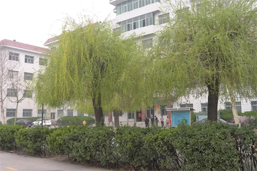 保定哪所學(xué)校有機電專(zhuān)業(yè)? 保定哪所學(xué)校有機電專(zhuān)業(yè)?