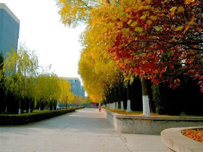 北京現代體育學(xué)院、航空乘務(wù)學(xué)院幼教專(zhuān)業(yè)好嗎? 北京現代體育學(xué)院、航空乘務(wù)學(xué)院幼教專(zhuān)業(yè)好嗎?