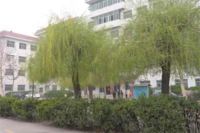保定育德中等專(zhuān)業(yè)學(xué)校計算機應用技術(shù)好不好? 保定育德中等專(zhuān)業(yè)學(xué)校計算機應用技術(shù)好不好?