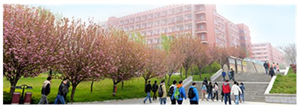 西安工程大學(xué)繼續教育學(xué)院報考流程有哪些? 西安工程大學(xué)繼續教育學(xué)院報考流程有哪些?