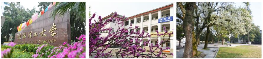 桂林理工大學(xué)繼續教育學(xué)院如何報名? 桂林理工大學(xué)繼續教育學(xué)院如何報名?